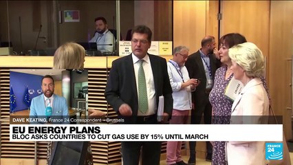 EU tells members to cut gas usage amid new Putin warning
