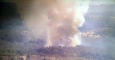 Son dakika haberleri! İzmir'de orman yangını