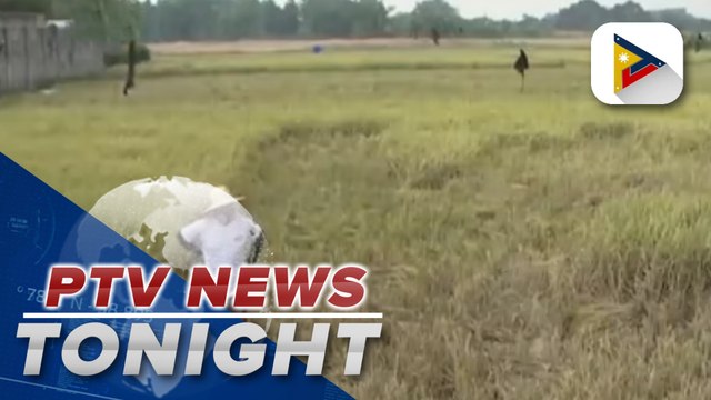 DA focuses on increasing agri production amid threats of food crisis