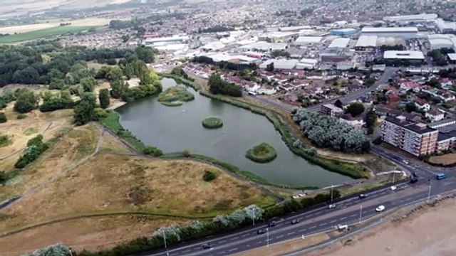 Bird flu fears after death of birds