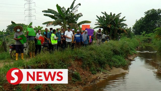 Sg Udang farmers protest pollution of river, say it affects their livelihood
