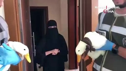 Tartışmalı ördeklerin akıbeti belli oldu: İçişleri Bakanlığı sahip çıktı
