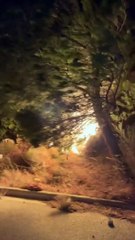 Πέτρος Κουσουλός: Έζησε τον πύρινο εφιάλτη στο Ντράφι Πεντέλης!