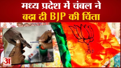 मध्य प्रदेश में चंबल ने बढ़ा दी BJP की चिंता  सिंधिया के बाद कृषि मंत्री तोमर के गढ़ में भी हार