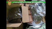 Bergamo, maxi sequestro di droga in un capannone: scoperti 600 chili di marijuana