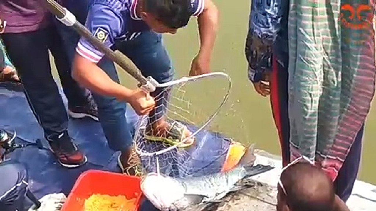 Hook Fishing Traditional Hook Fishing Best Hook Fishing   S Fishing Tv