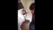 Funniest person. Comedy Video. Fun. Funny Animals Videos. Funny Animals Moment Of The Year
