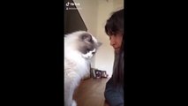 Funniest person. Comedy Video. Fun. Funny Animals Videos. Funny Animals Moment Of The Year