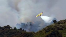 Incendi in Italia, prosegue rogo in Versilia: colpite le frazioni di Massarosa