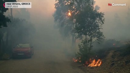 Feuer bedroht Wohnhäuser nordöstlich von Athen