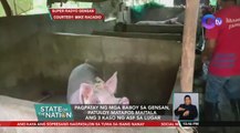 Pagpatay ng mga baboy sa GenSan, patuloy matapos maitala ang 3 kaso ng ASF sa lugar | SONA