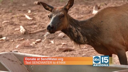 See how AZ Game and Fish wildlife waters are providing lifesaving hydration to 800+ species
