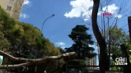 Minibüsün üzerine ağaç devrildi