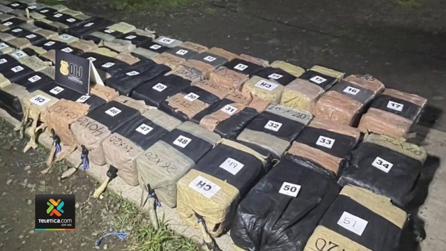 tn7-decomisos-oij-200722