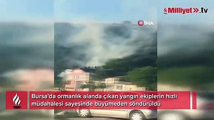 Bursa'da orman yangını: Ekiplerin hızlı müdahalesiyle büyümeden söndürüldü