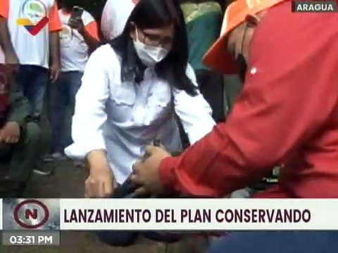 Aragua | Programa Conservando sembró árboles en el Parque Nacional Henri Pittier