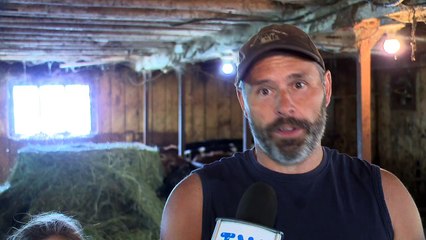 Ferme laitière de Saint-Quentin  l'enclos de ses veaux forcé par un malfaiteur
