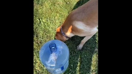 you can_t finish this videos Wow challenge memes