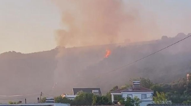 Son dakika haber! MUDANYA'DA ZEYTİNLİK ALANDA ÇIKAN YANGIN SÖNDÜRÜLDÜ