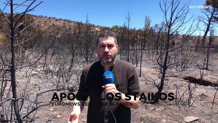 Waldbrände in Griechenland: Mann nimmt sich das Leben