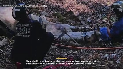 Un caballo y un jinete quedaron atrapados en un acantilado, pero Calfire pudo rescatar al equino con un helicóptero.