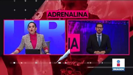 Profepa concluye inspección en el predio de Black Jaguar-White Tiger