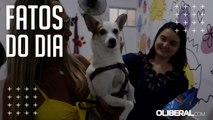 Verão faz aumentar procura por hospedagem de pets