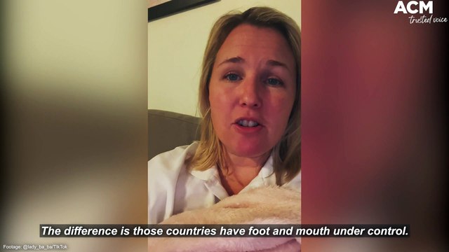 Big Brother contestant calls for Australia's border with Indonesia to be closed due to Foot and Mouth disease | July 21, 2022 | ACM