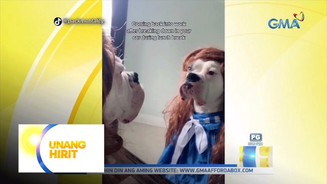 Hirit Good Vibes: Paw-shionista at makulit na pets! | Unang Hirit