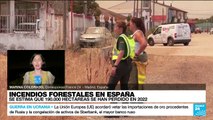 Informe desde Madrid: España rompe récord de hectáreas calcinadas por incendios forestales