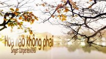 Hoa nào không phai (Singer: Corperdevil1987)
