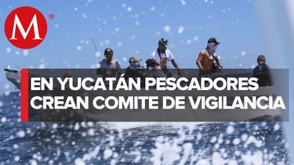 Pobladores se defienden de la pesca furtiva de langostas en Yucatán