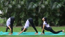 Surya Namaskar Step by Step for Beginners | सूर्य नमस्कार योग कैसे करते हैं | Boldsky *Yoga