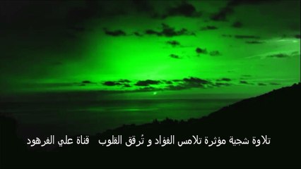 تلاوة شجية مؤثرة تلامس الفؤاد و تُرقق القلوب   قناة علي الفرهود