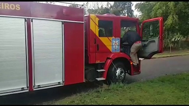 Gambá invade escola em Cascavel e Corpo de Bombeiros é mobilizado