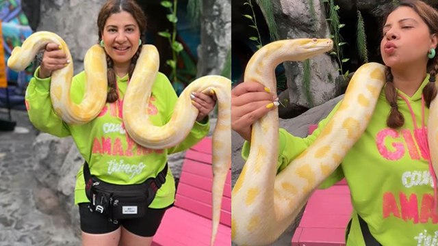Sambhavna Seth Python के साथ Thailand Vacation Full Masti Video Viral | Boldsky*Entertainment