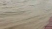 UAE rains: Water logged roads