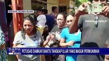 Kali ke-24! Ular Masuk ke Permukiman Warga di Kota Makassar, Petugas Damkar Turun Tangan