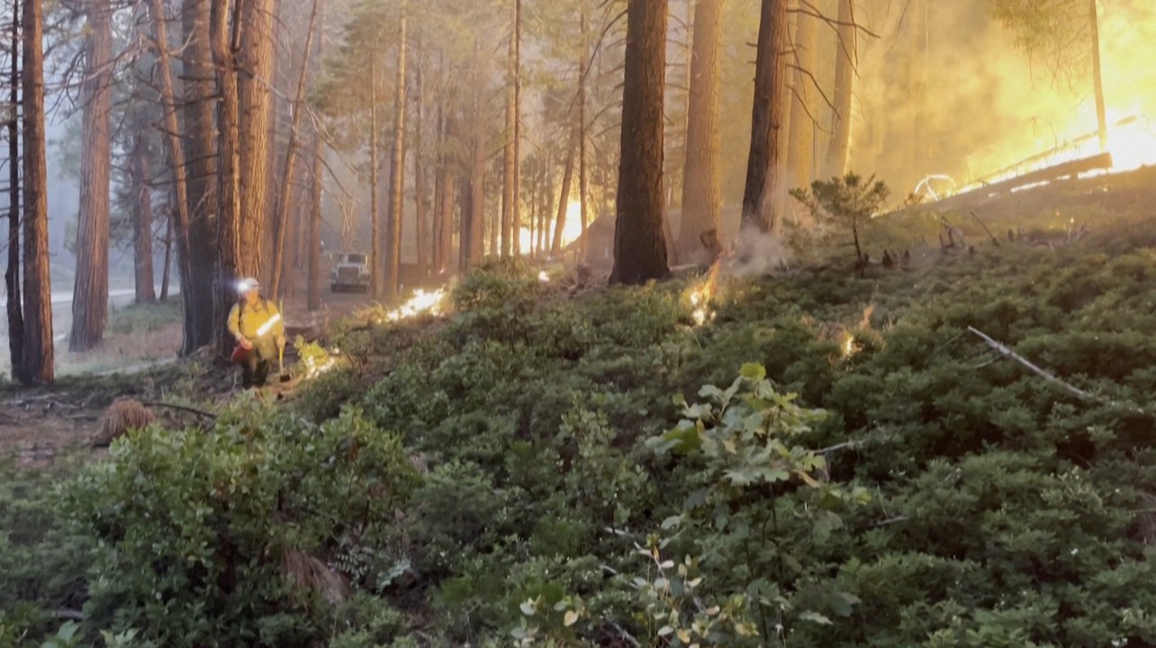 États-Unis : un violent incendie menace les séquoias géants du parc de Yosemite