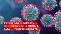 Covid-19 : une 7e vague en reflux, mais des disparités régionales