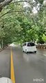 Islamabad Pakistan the most beautiful city Rain after rain