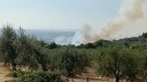 Guardea (TR) - Incendio boschivo minaccia il centro abitato (21.07.22)