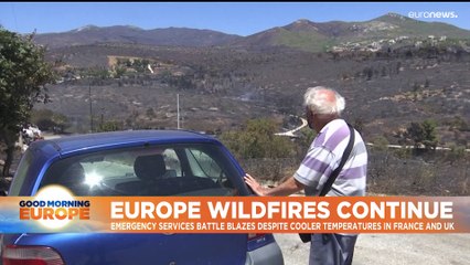 Wildfires: Europe pools its resources to battle blazes