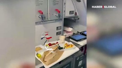 İYİ Partili isim o havayoluna ait skandal görüntüleri paylaştı:  Yemeklerde yılan ve salyangoz çıktı