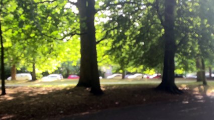 Your What’s On Guide for Liverpool: LIMF, The RedBall Project & Pride picnic in the park