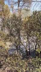 Los vecinos de Zazuar ayudan a apagar un fuego en el monte