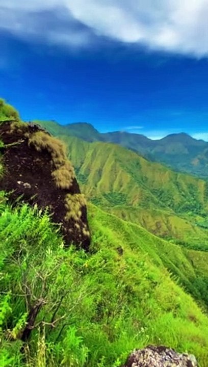 Green Scenery