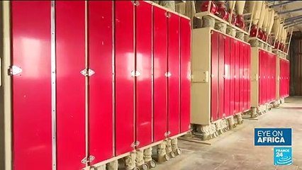 Rethinking farming: 80% of Tunisia's soft wheat imported from Ukraine