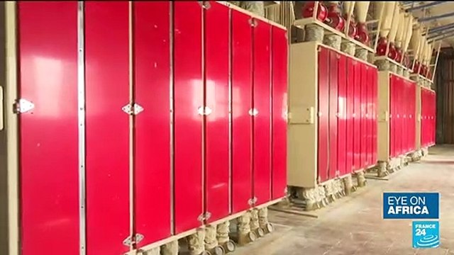 Rethinking farming: 80% of Tunisia's soft wheat imported from Ukraine