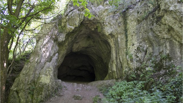 Mysteriöse Zeitkapsel wird nach 200 Jahren geöffnet: Sie enthüllt erstaunliche Schätze (1)